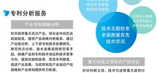 專利檢索與信息咨詢服務 助力創新與知識產權保護